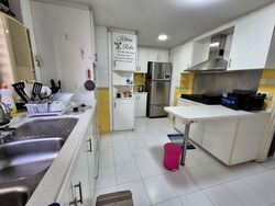 The Tanamera (D16), Condominium #485686311